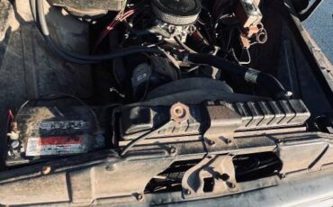 Chevrolet-C20-1966-7