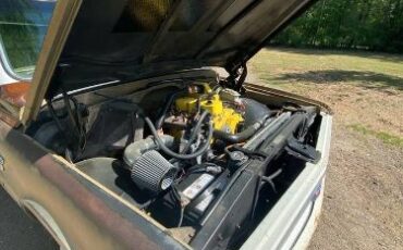 Chevrolet-C20-1968-Patina-14