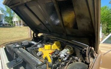 Chevrolet-C20-1968-Patina-15