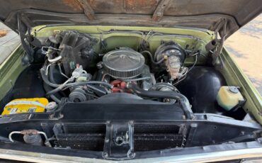 Chevrolet-C20-1972-Pickup-20