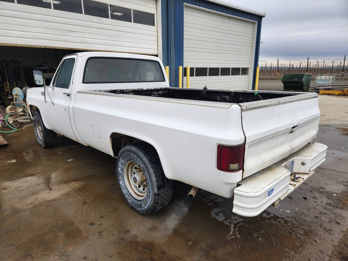 Chevrolet-C20-1977-2