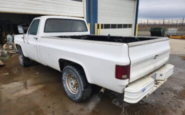 Chevrolet-C20-1977-2