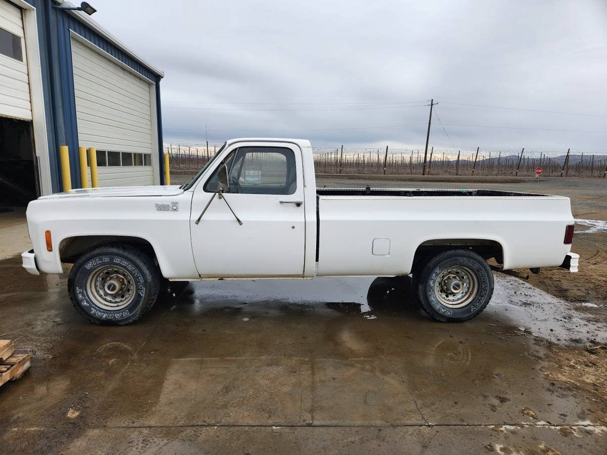 Chevrolet-C20-1977-7