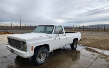 Chevrolet-C20-1977-8