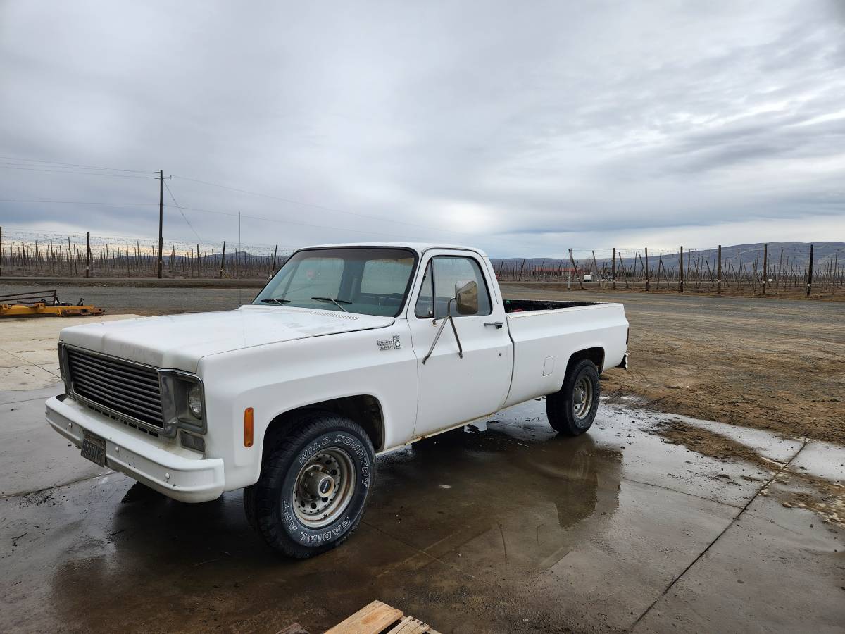 Chevrolet-C20-1977-8