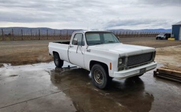 Chevrolet-C20-1977-9