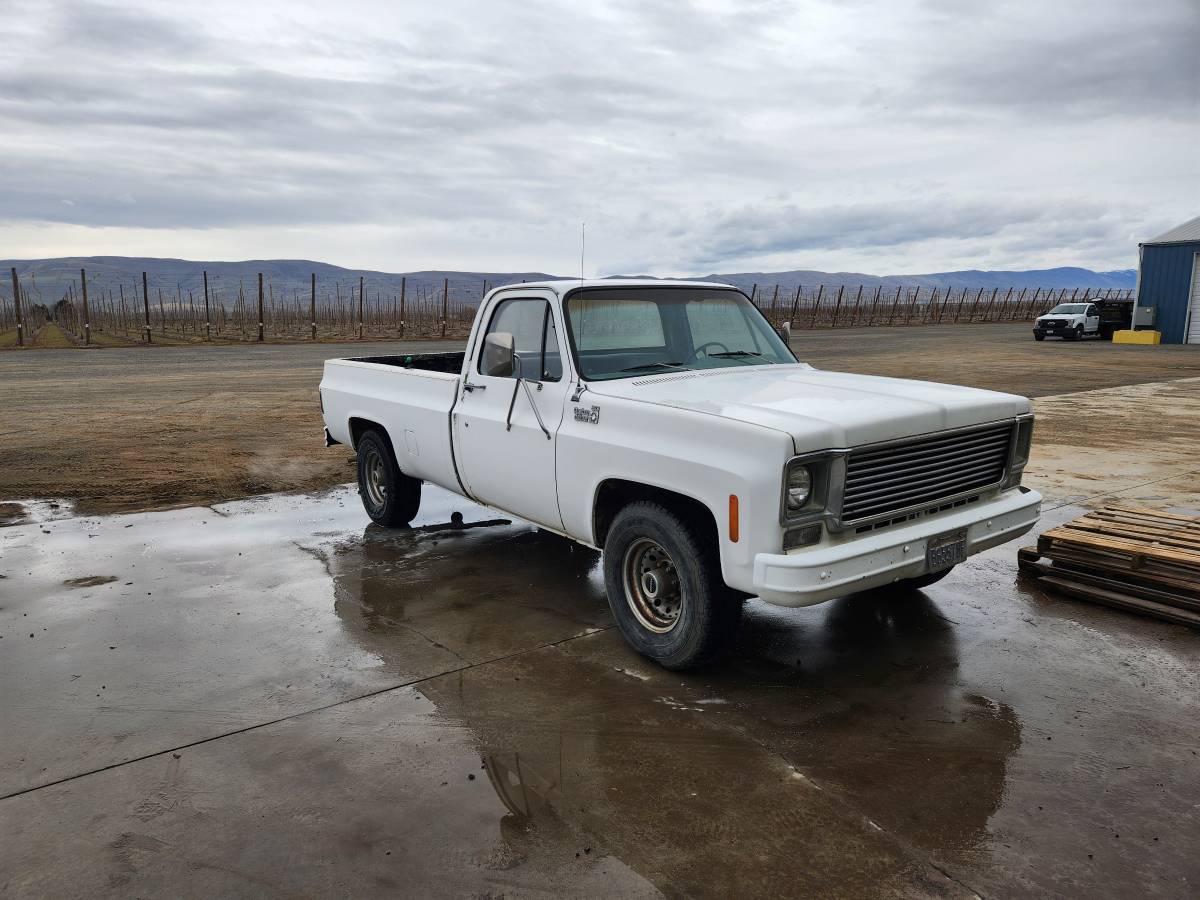Chevrolet-C20-1977-9
