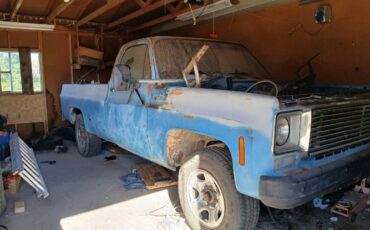 Chevrolet-C20-1977-Blue