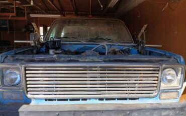 Chevrolet-C20-1977-Blue-6