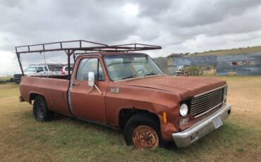Chevrolet-C20-1978-1