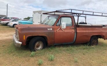 Chevrolet-C20-1978-2