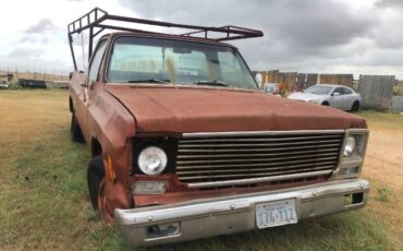 Chevrolet-C20-1978-3