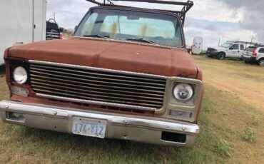 Chevrolet-C20-1978