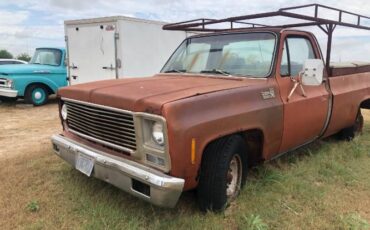 Chevrolet-C20-1978-4
