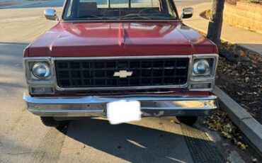 Chevrolet-C20-1980-red