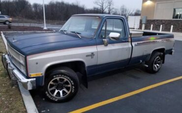 Chevrolet-C20-1981