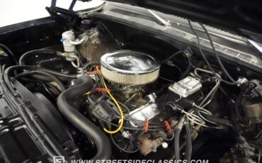 Chevrolet-C30-1979-Black-Patina-Black-21