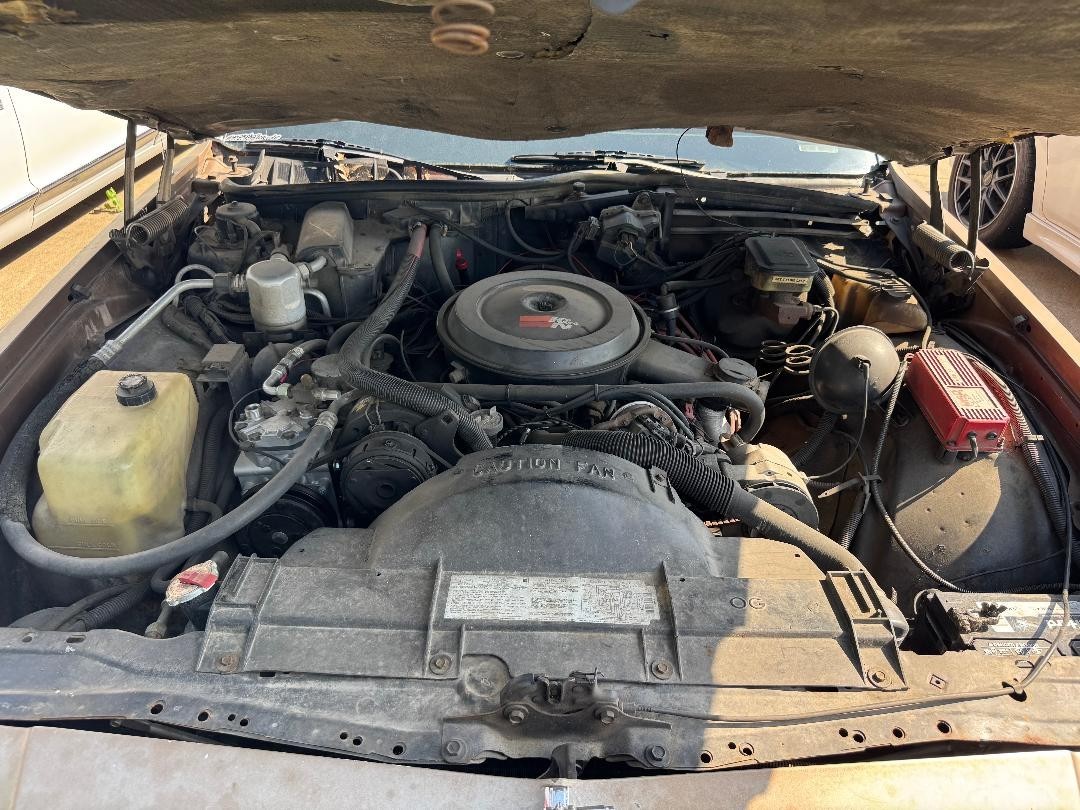 Chevrolet-CAPRICE-CLASSIC-1987-Wagon-21
