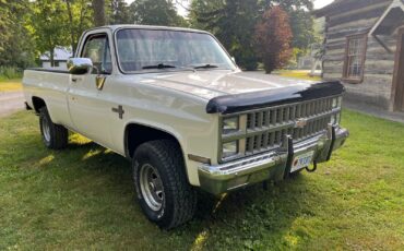 Chevrolet-CK-Pickup-1500-1982-Standard-Cab-Pickup-1