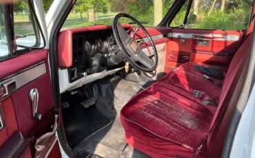 Chevrolet-CK-Pickup-1500-1982-Standard-Cab-Pickup-10