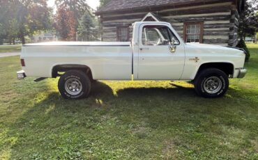 Chevrolet-CK-Pickup-1500-1982-Standard-Cab-Pickup-13