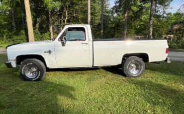Chevrolet-CK-Pickup-1500-1982-Standard-Cab-Pickup-14