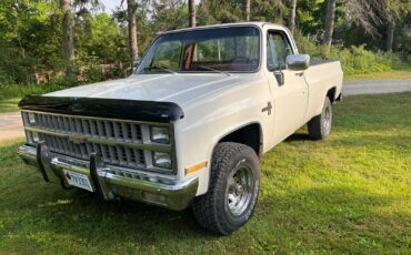Chevrolet-CK-Pickup-1500-1982-Standard-Cab-Pickup-2