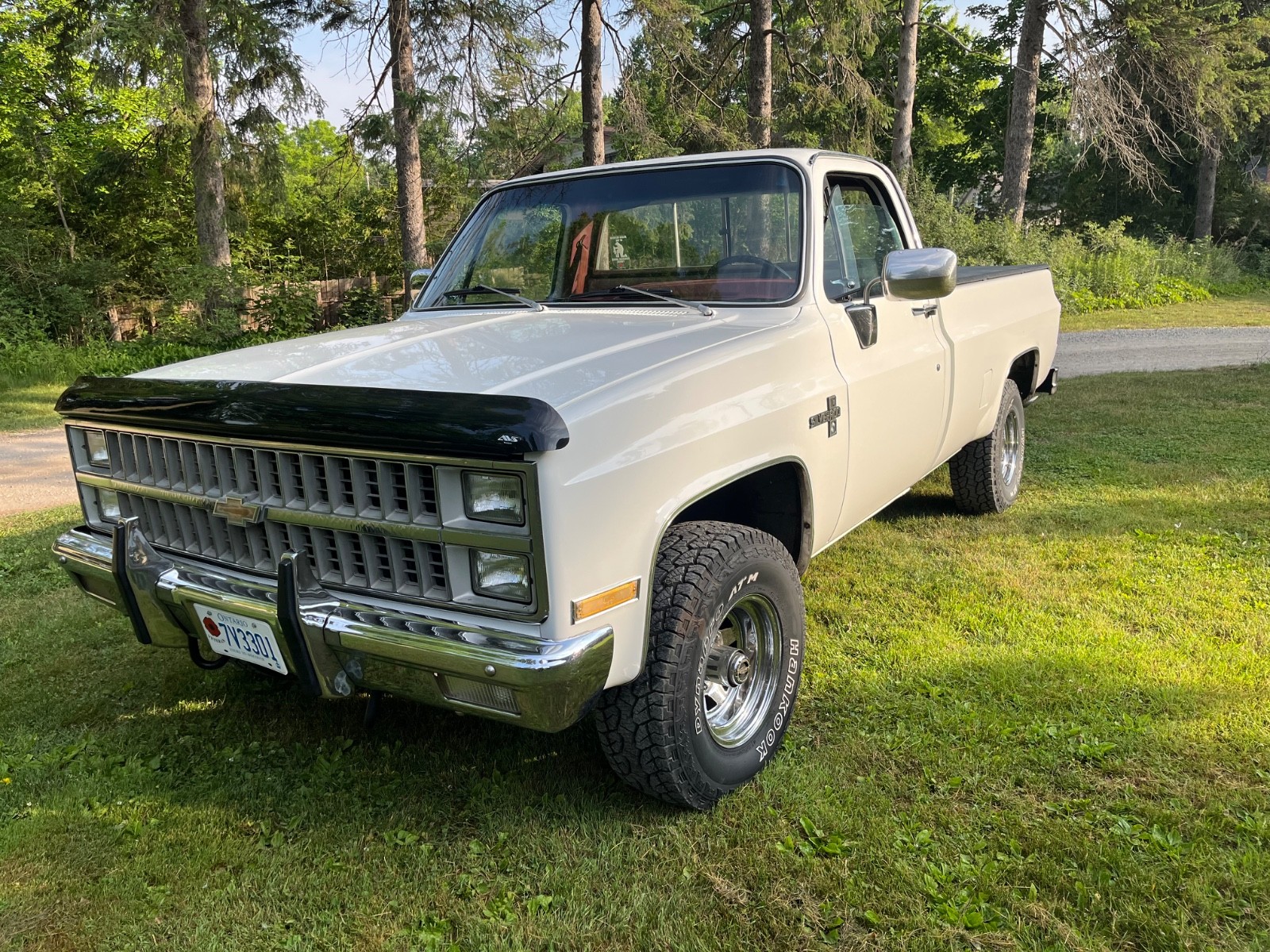 Chevrolet-CK-Pickup-1500-1982-Standard-Cab-Pickup-2