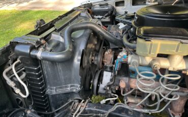Chevrolet-CK-Pickup-1500-1982-Standard-Cab-Pickup-21