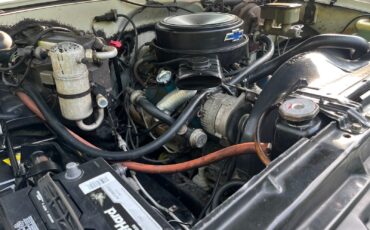 Chevrolet-CK-Pickup-1500-1982-Standard-Cab-Pickup-22