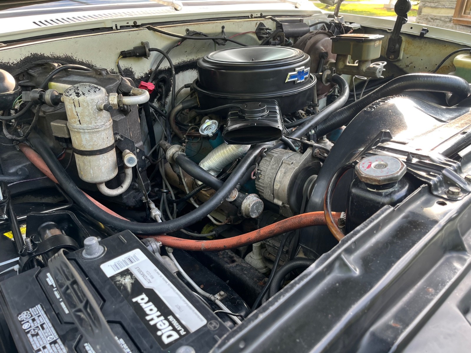 Chevrolet-CK-Pickup-1500-1982-Standard-Cab-Pickup-22