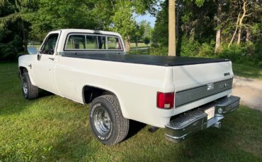 Chevrolet-CK-Pickup-1500-1982-Standard-Cab-Pickup-3