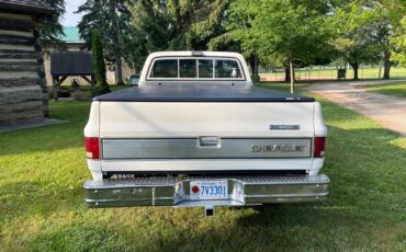 Chevrolet-CK-Pickup-1500-1982-Standard-Cab-Pickup-4