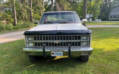 Chevrolet C/K Pickup 1500 1982 Standard Cab Pickup