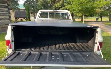 Chevrolet-CK-Pickup-1500-1982-Standard-Cab-Pickup-5