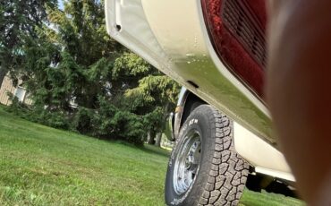 Chevrolet-CK-Pickup-1500-1982-Standard-Cab-Pickup-7