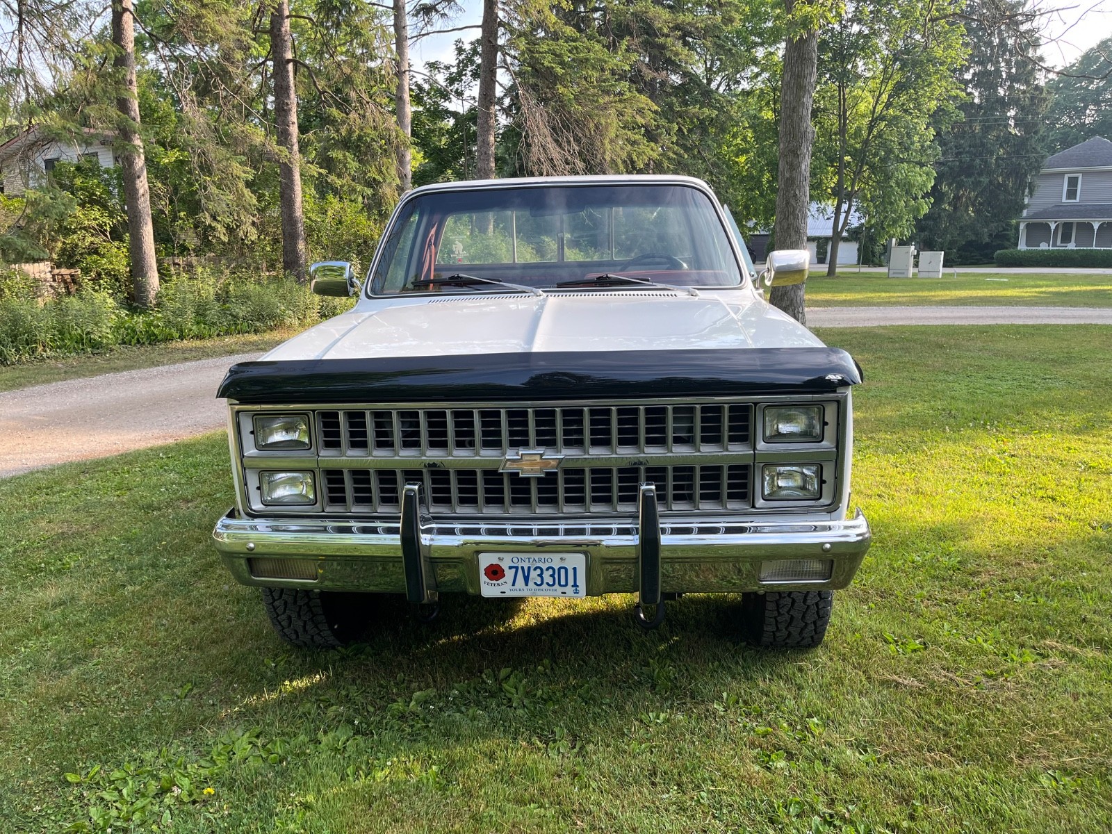 Chevrolet-CK-Pickup-1500-1982-Standard-Cab-Pickup