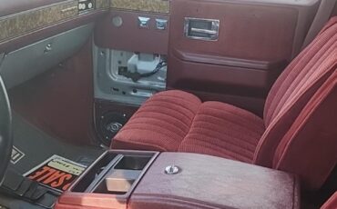 Chevrolet-CK-Pickup-1500-1983-3