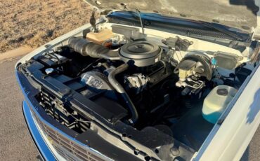 Chevrolet-CK-Pickup-1500-1989-Pickup-Truck-18