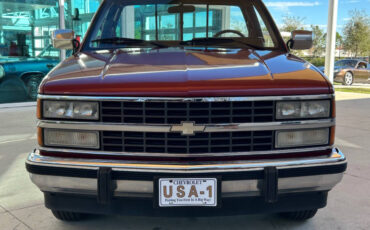 Chevrolet-CK-Pickup-1500-1990-Pickup-Truck-1