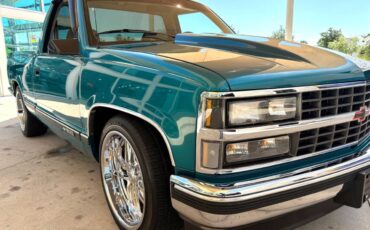 Chevrolet-CK-Pickup-1500-1993-Pickup-Truck-17
