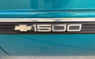 Chevrolet-CK-Pickup-1500-1993-Pickup-Truck-19