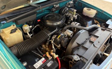 Chevrolet-CK-Pickup-1500-1993-Pickup-Truck-32