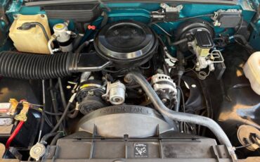 Chevrolet-CK-Pickup-1500-1993-Pickup-Truck-33