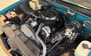 Chevrolet-CK-Pickup-1500-1993-Pickup-Truck-34