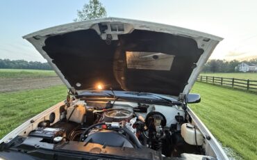 Chevrolet-CK-Pickup-1500-1994-23