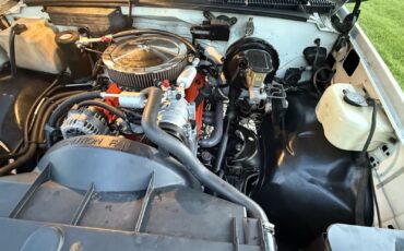 Chevrolet-CK-Pickup-1500-1994-24