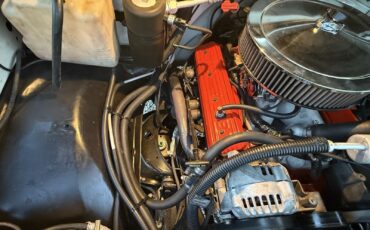 Chevrolet-CK-Pickup-1500-1994-25