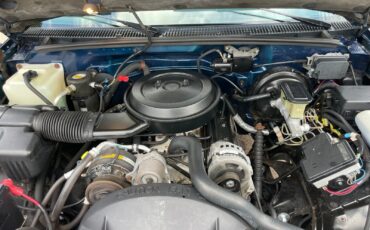 Chevrolet-CK-Pickup-1500-1995-13