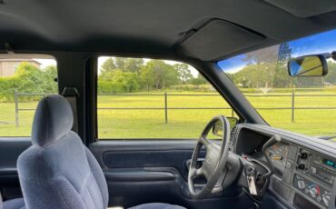 Chevrolet-CK-Pickup-1500-1995-23